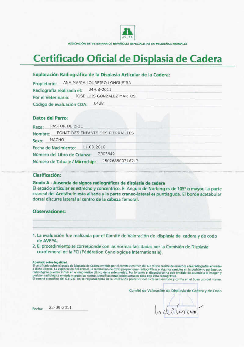 Certificado Oficial displasia Bribon