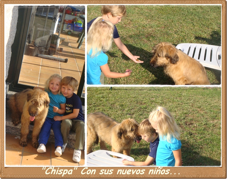 Cachorro 5 meses pastor de brie Torete "Chispa" de Los Laureles con sus niños